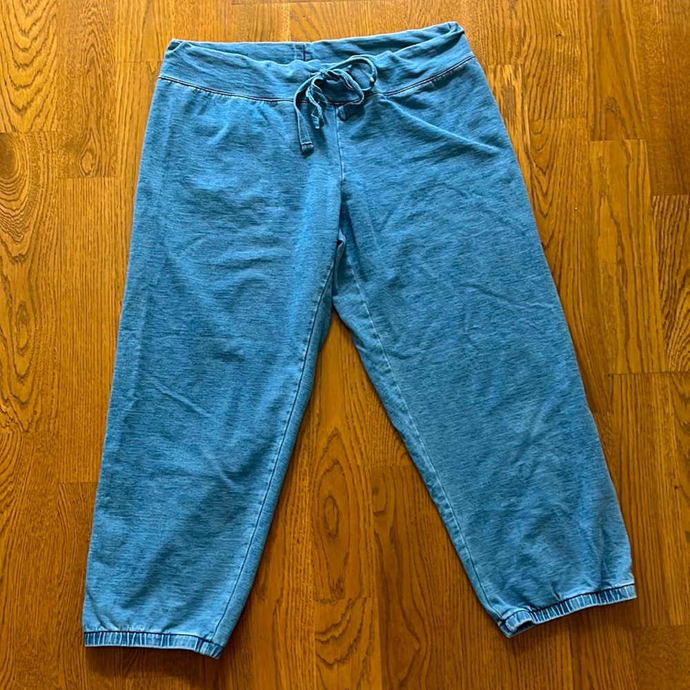 Fabletics Light Blue Casual Cropped Joggers